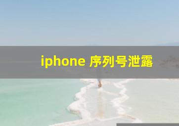 iphone 序列号泄露